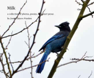 Milk book cover