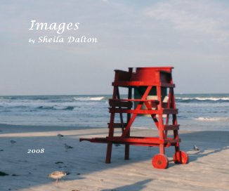 Images 2008 book cover