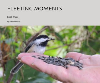 FLEETING MOMENTS book cover