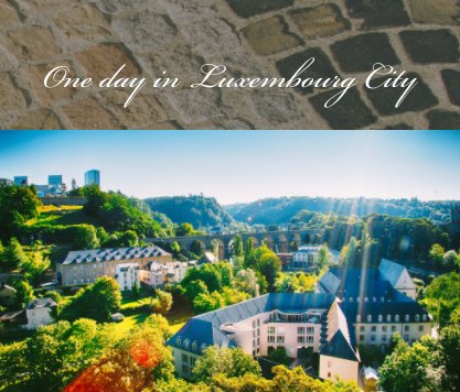 One day in Luxembourg City book cover