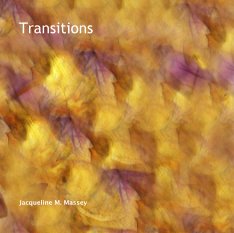 Transitions book cover