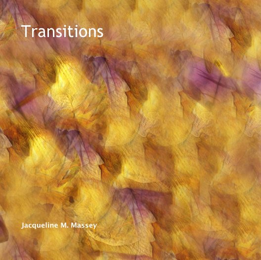 View Transitions by Jacqueline M. Massey