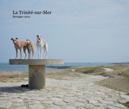 La Trinité-sur-Mer Bretagne 2012 book cover