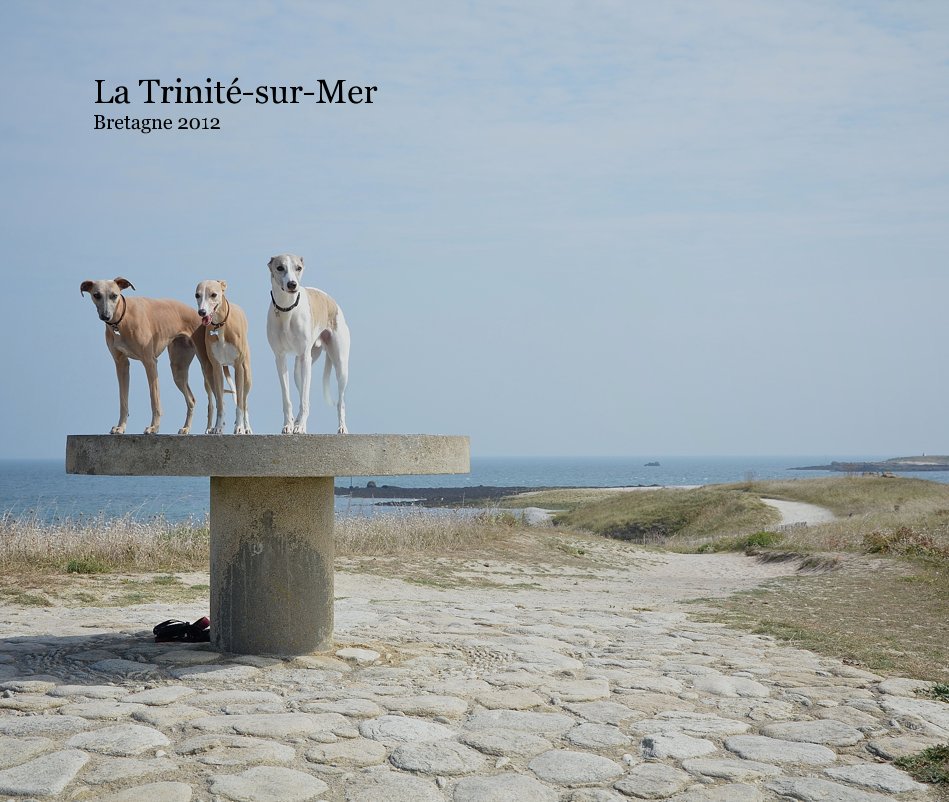View La Trinité-sur-Mer Bretagne 2012 by MarcGemis