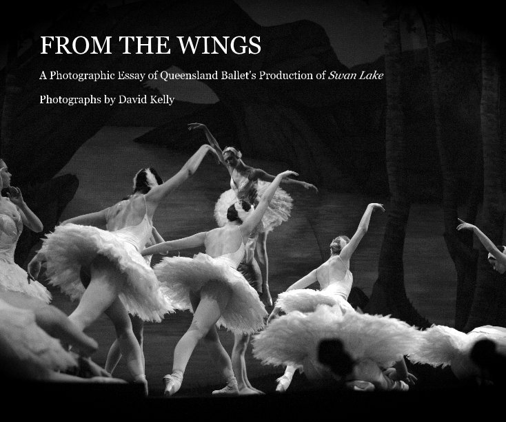 View From The Wings by Photographs by David Kelly