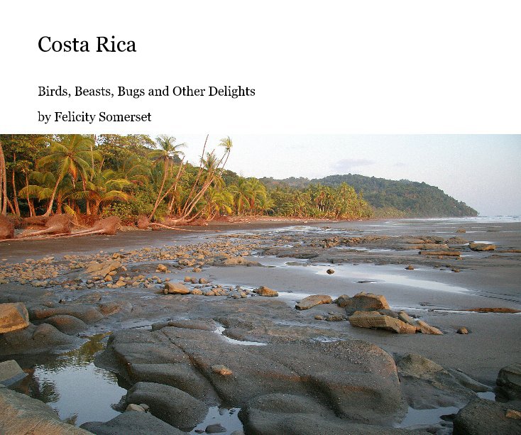 View Costa Rica by Felicity Somerset