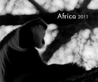 Africa 2011 book cover