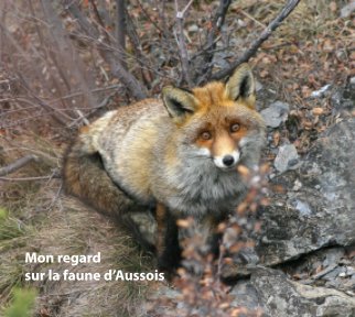 Mon regard sur la faune d'Aussois book cover