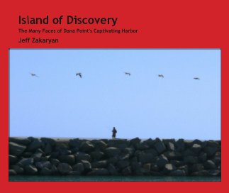 Island of Discovery book cover