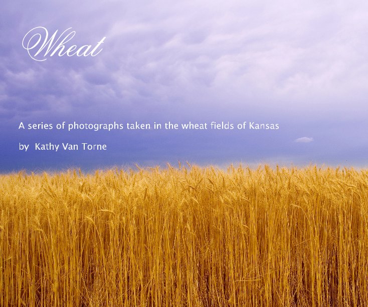 View Wheat by Kathy Van Torne