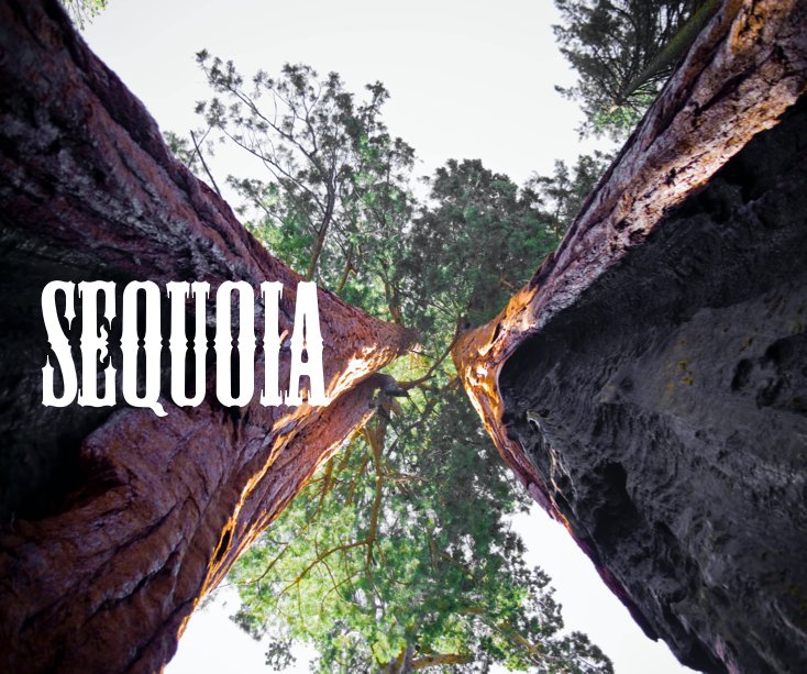 View SEQUOIA by T&B
