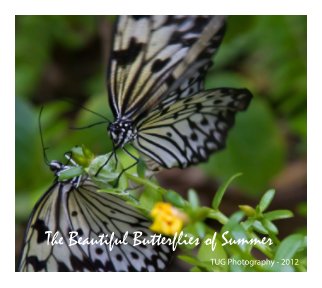 The Beautiful Butterflies of Summer book cover