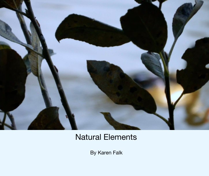 View Natural Elements by Karen Falk
