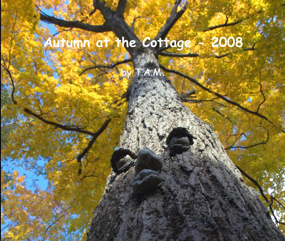 View Autumn at the Cottage - 2008 by T.A.M.