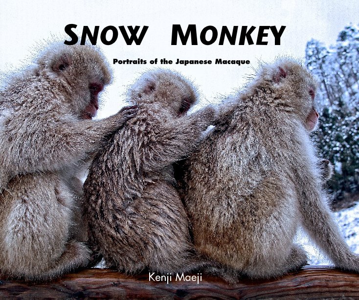 View SNOW MONKEY by Kenji Maeji