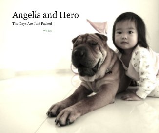 Angelis and Hero book cover