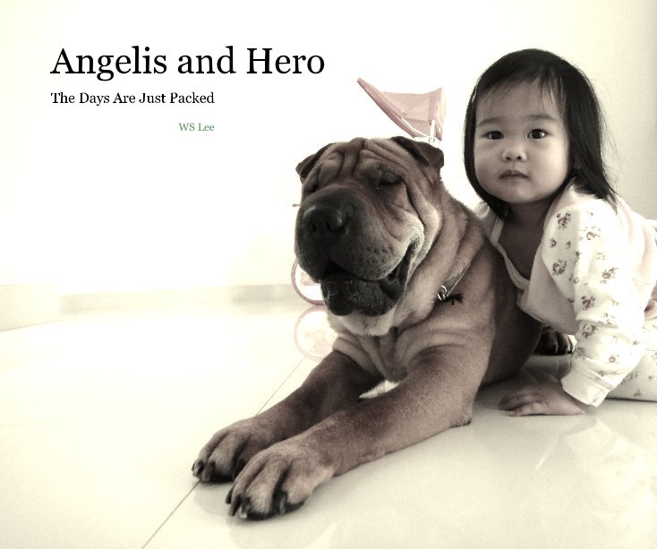 View Angelis and Hero by WS Lee
