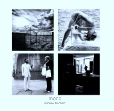 mono book cover