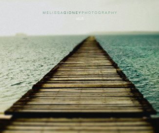 Melissa Gidney Photography book cover