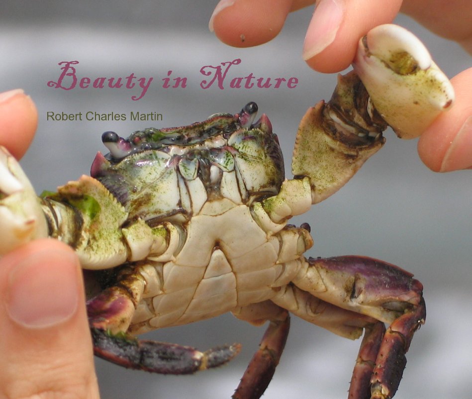 View Beauty in Nature by Dana Michelle Hunter
