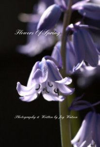 Flowers Of Spring book cover