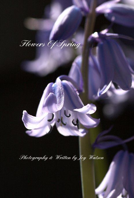 View Flowers Of Spring by Photography & Written by Joy Watson