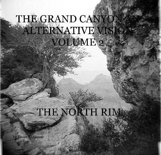 Ver THE GRAND CANYON AN ALTERNATIVE VISION VOLUME 2 THE NORTH RIM por Javier F. Alonso