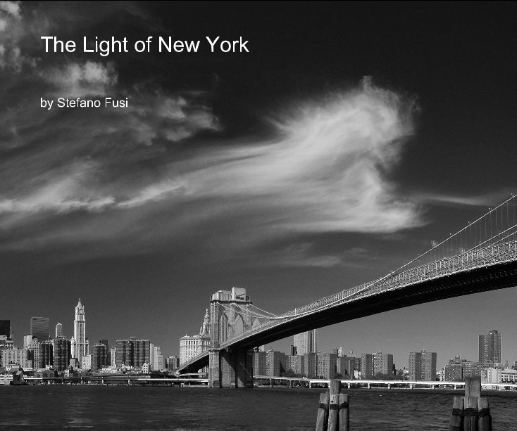 View The Light of New York by Stefano Fusi