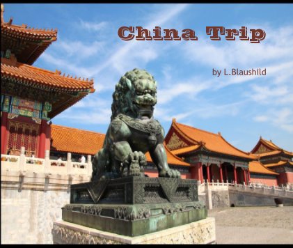 China Trip book cover