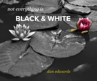 not everything is BLACK & WHITE book cover