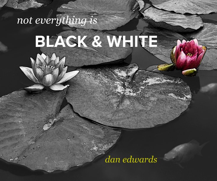 View not everything is BLACK & WHITE by dan edwards