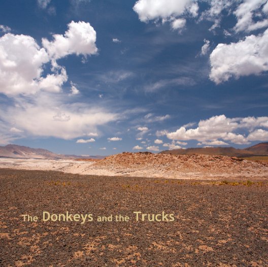 View The Donkeys and the Trucks by Jason Tennenhouse