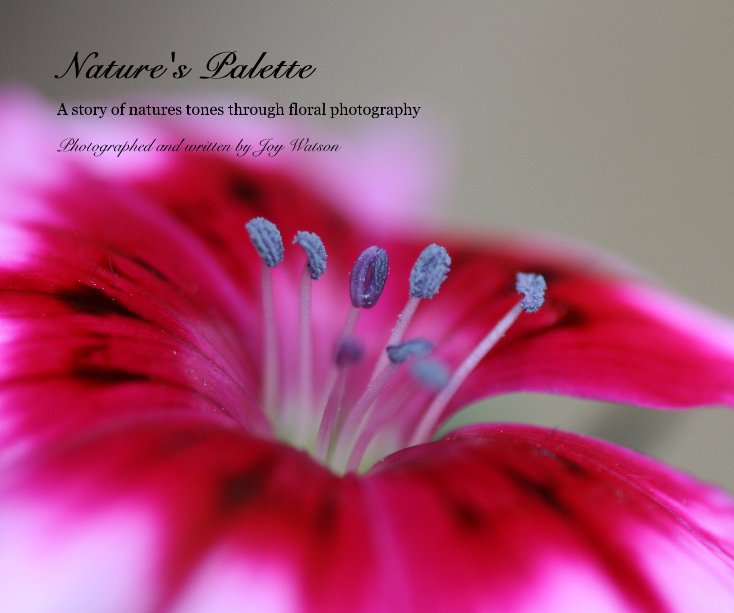 Ver Nature's Palette por Photographed and written by Joy Watson