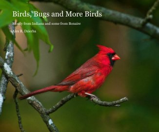 Birds, Bugs and More Birds book cover