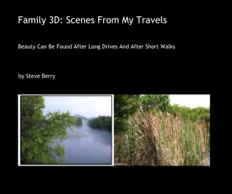 Family 3D: Scenes From My Travels book cover