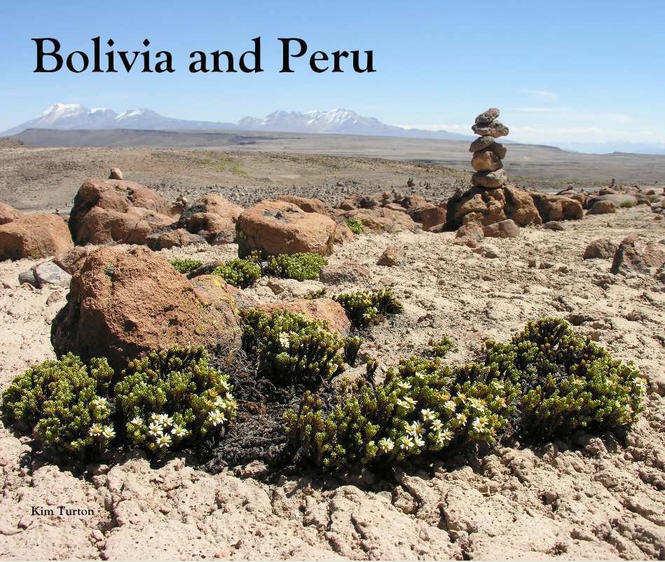 View Bolivia and Peru by Kim Turton