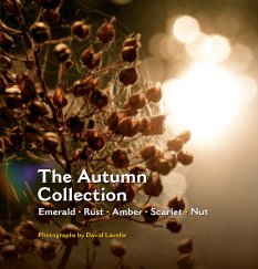 The Autumn Collection (Hardback) book cover