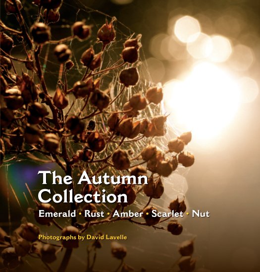 Visualizza The Autumn Collection (Hardback) di David Lavelle