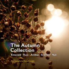 The Autumn Collection (Paperback) book cover