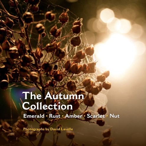Visualizza The Autumn Collection (Paperback) di David Lavelle