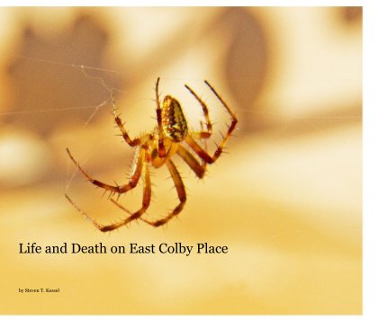 Life and Death on East Colby Place book cover
