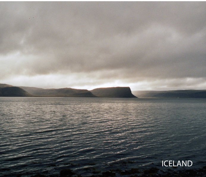 View Iceland Trip by Vasily Saveliev