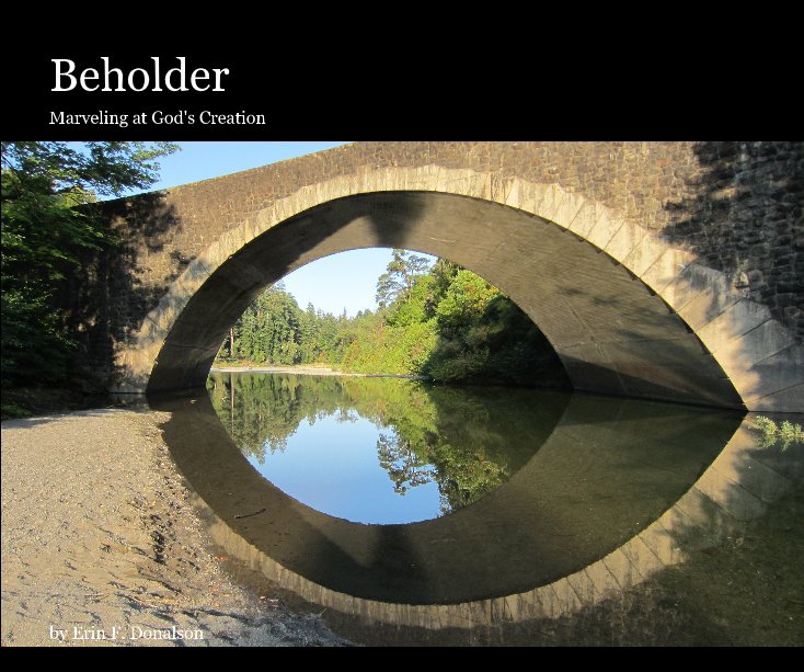 View Beholder by Erin F. Donalson