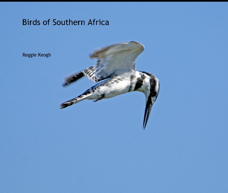 View Birds of Southern Africa by Reggie Keogh