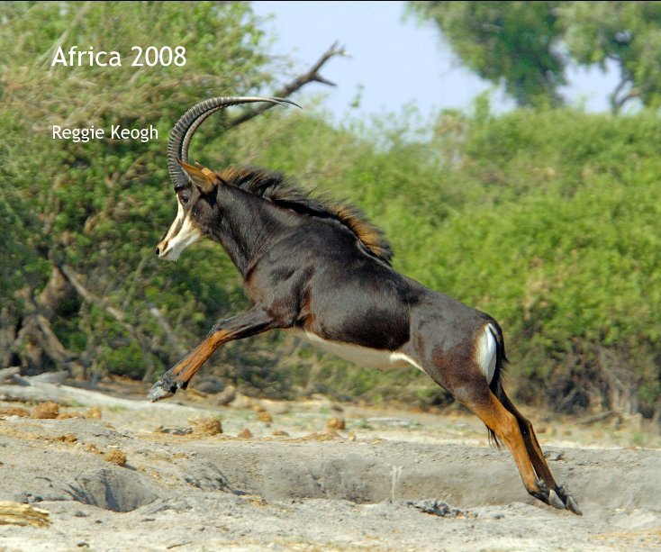 View Africa 2008 by Reggie Keogh