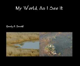 My World, As I See It book cover
