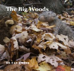 The Big Woods book cover
