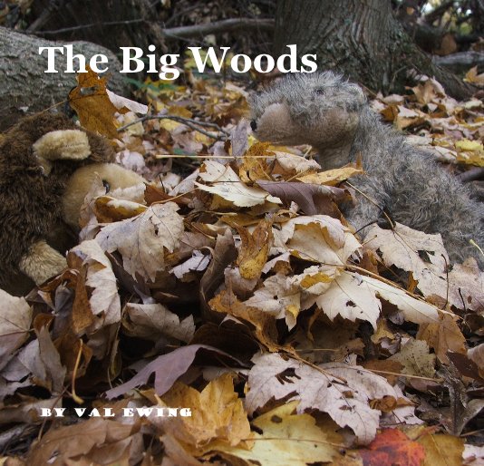 View The Big Woods by Val Ewing