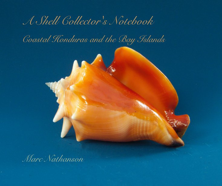 View A Shell Collector's Notebook by Marc Nathanson
