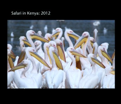 Safari in Kenya: 2012 book cover